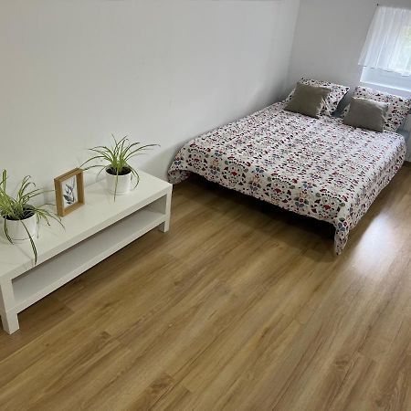 קטוביץ Green Apartment - Free Parking מראה חיצוני תמונה