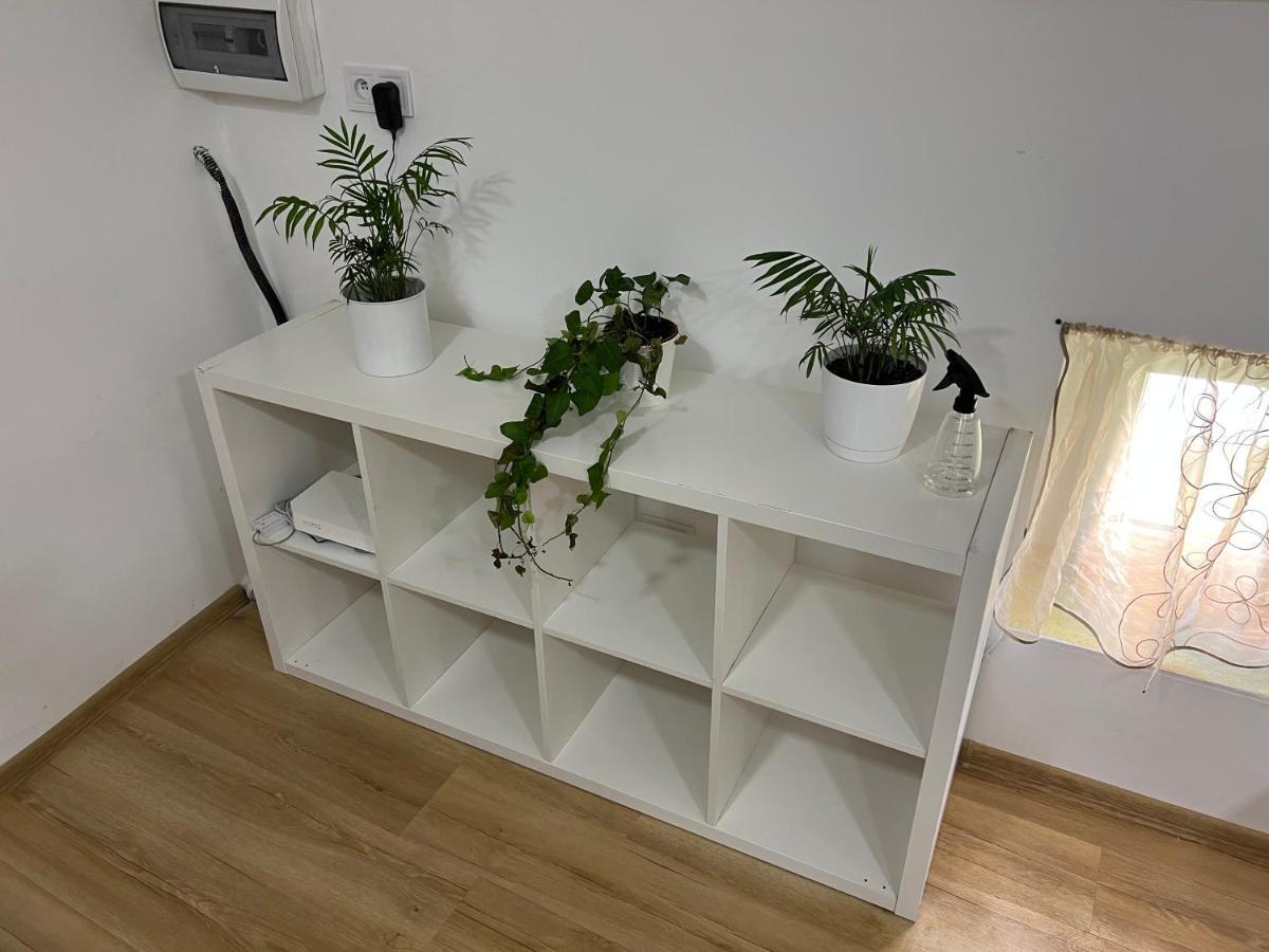 קטוביץ Green Apartment - Free Parking מראה חיצוני תמונה