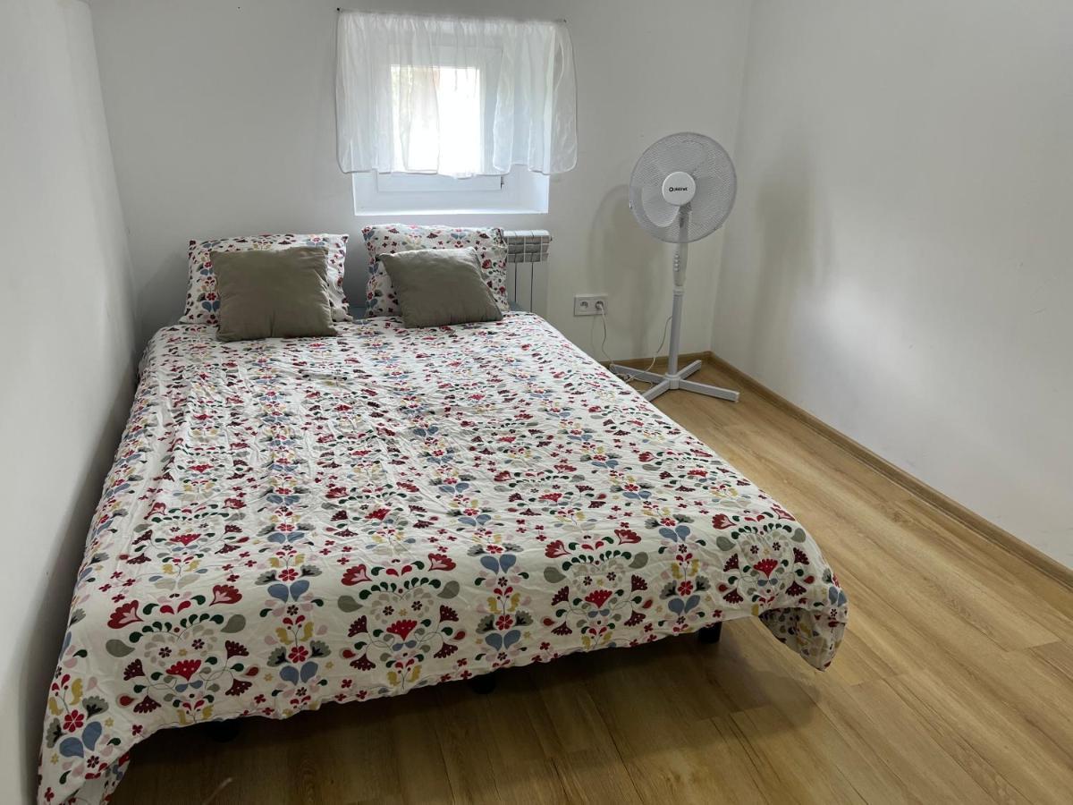 קטוביץ Green Apartment - Free Parking מראה חיצוני תמונה